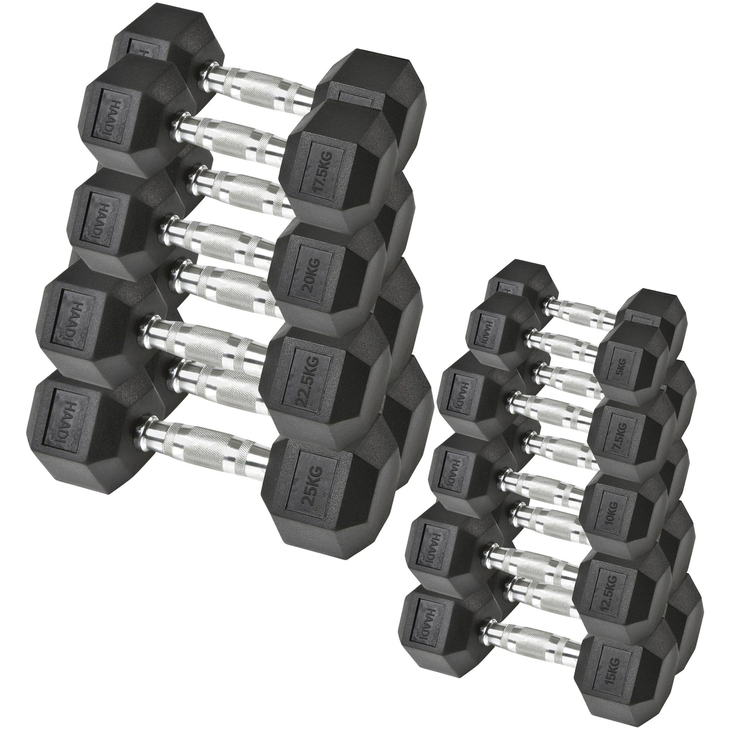 Hex Dumbbell Rubber Encased Cast Iron Weight From 5.0 KG to 25 KG