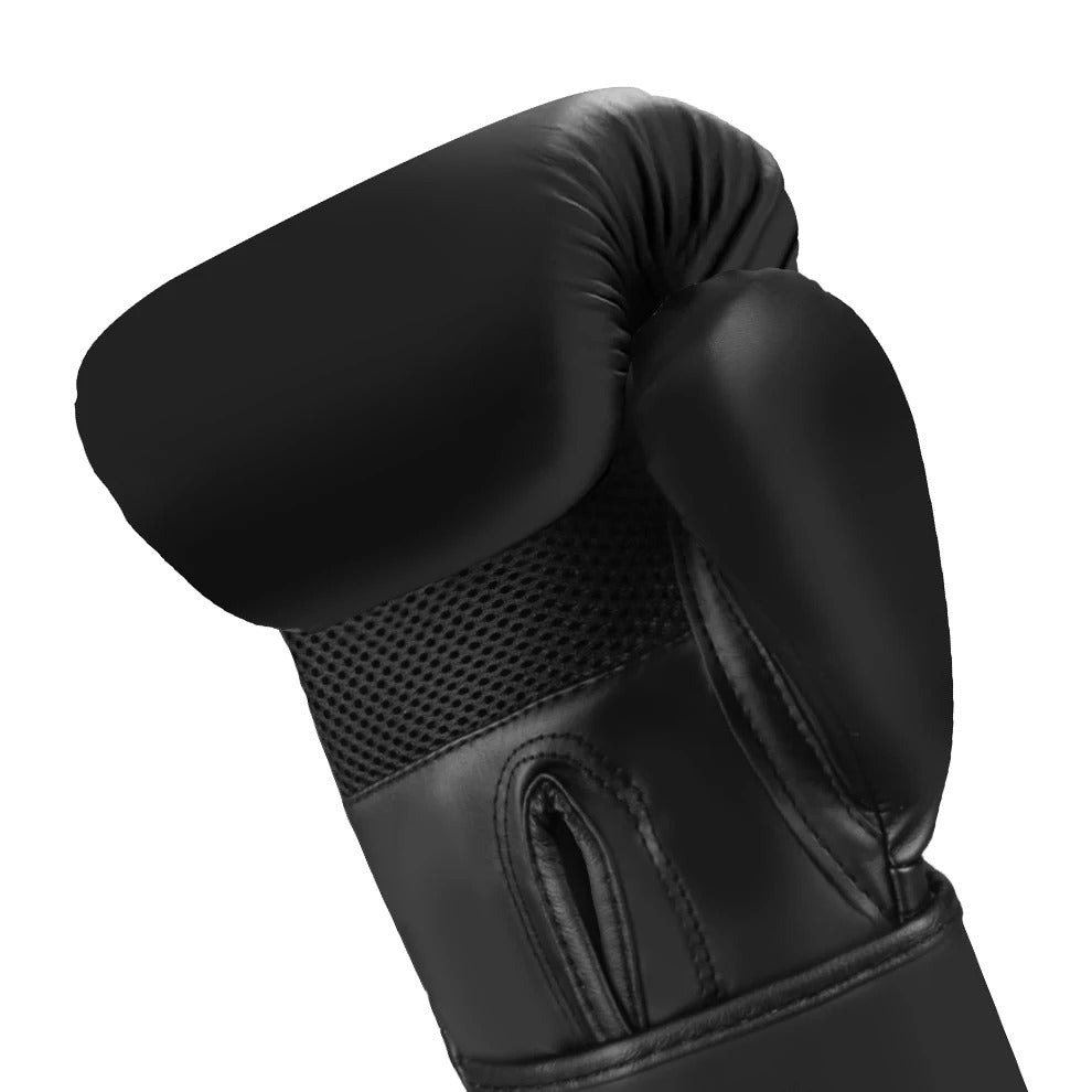 12oz Boxing Gloves